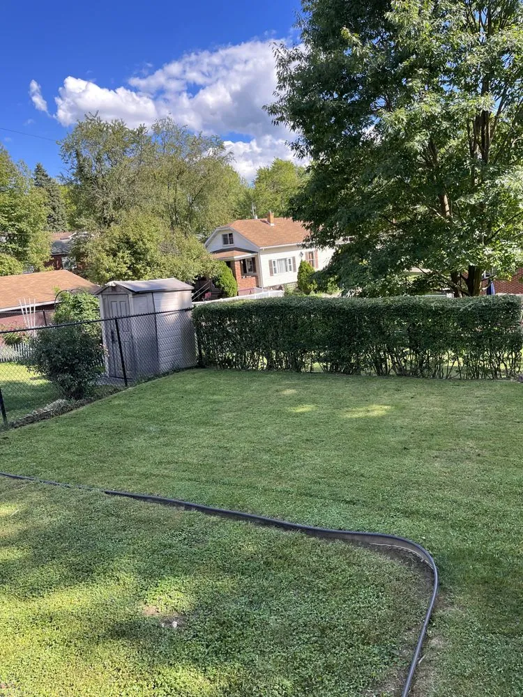 Professional outdoor landscaping in Natrona Heights, PA by True Quality Management