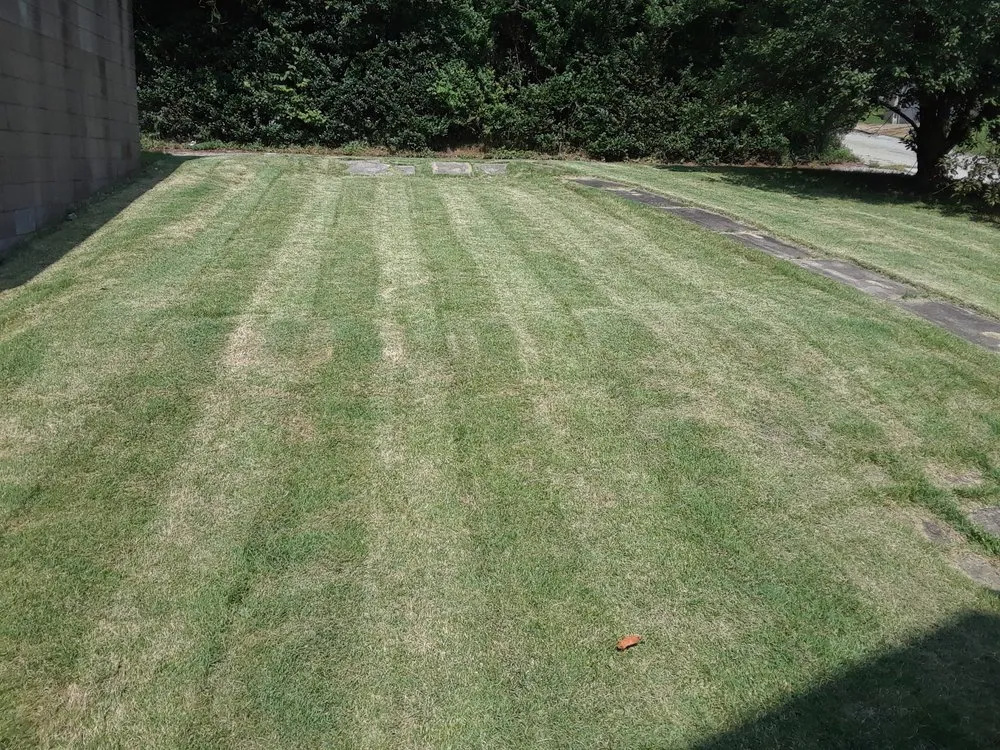 Reliable lawn mowing service in Natrona Heights, PA - True Quality Management
