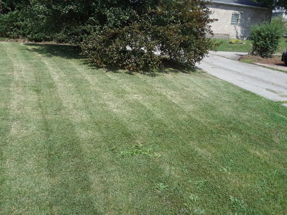 Top-rated garden landscaping for residential properties across Natrona Heights, PA - True Quality Management