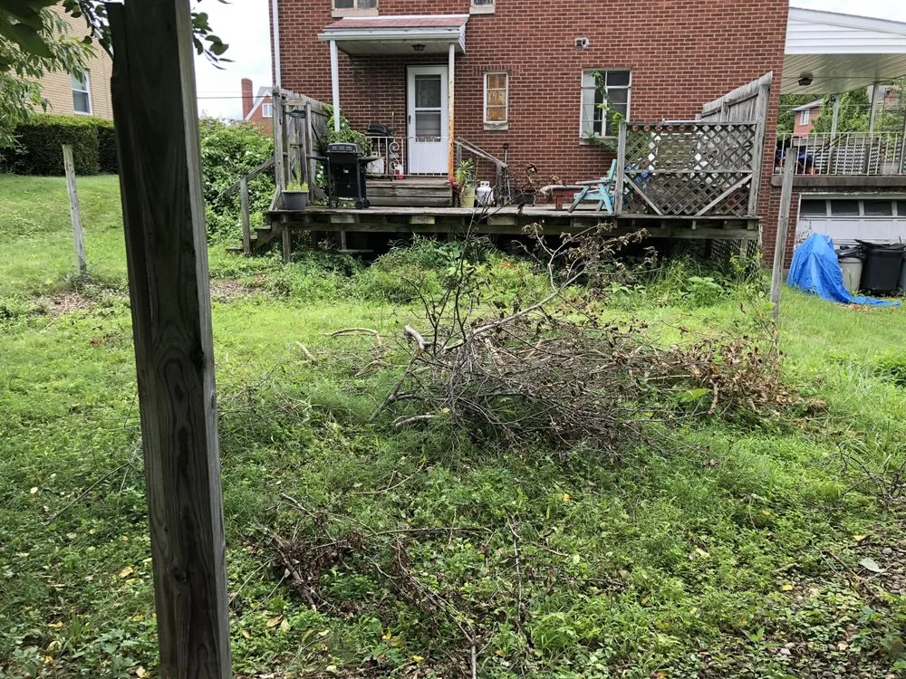 Reliable yard cleanup service in Natrona Heights, PA by True Quality Management