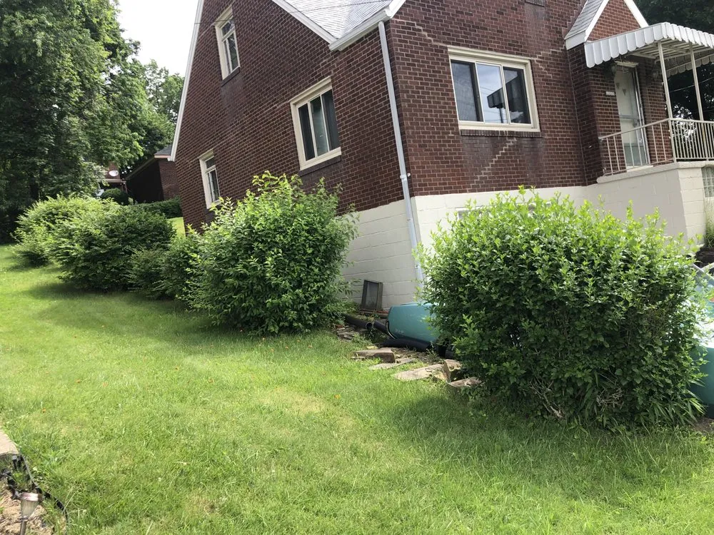 Trusted lawn care service experts serving Natrona Heights, PA - True Quality Management
