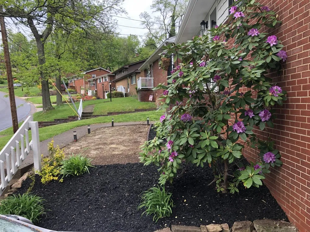 Professional landscape installation experts serving Natrona Heights, PA - True Quality Management