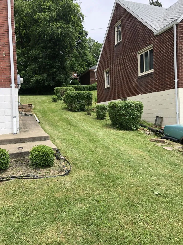 Trusted lawn mowing service with custom design across Natrona Heights, PA - True Quality Management