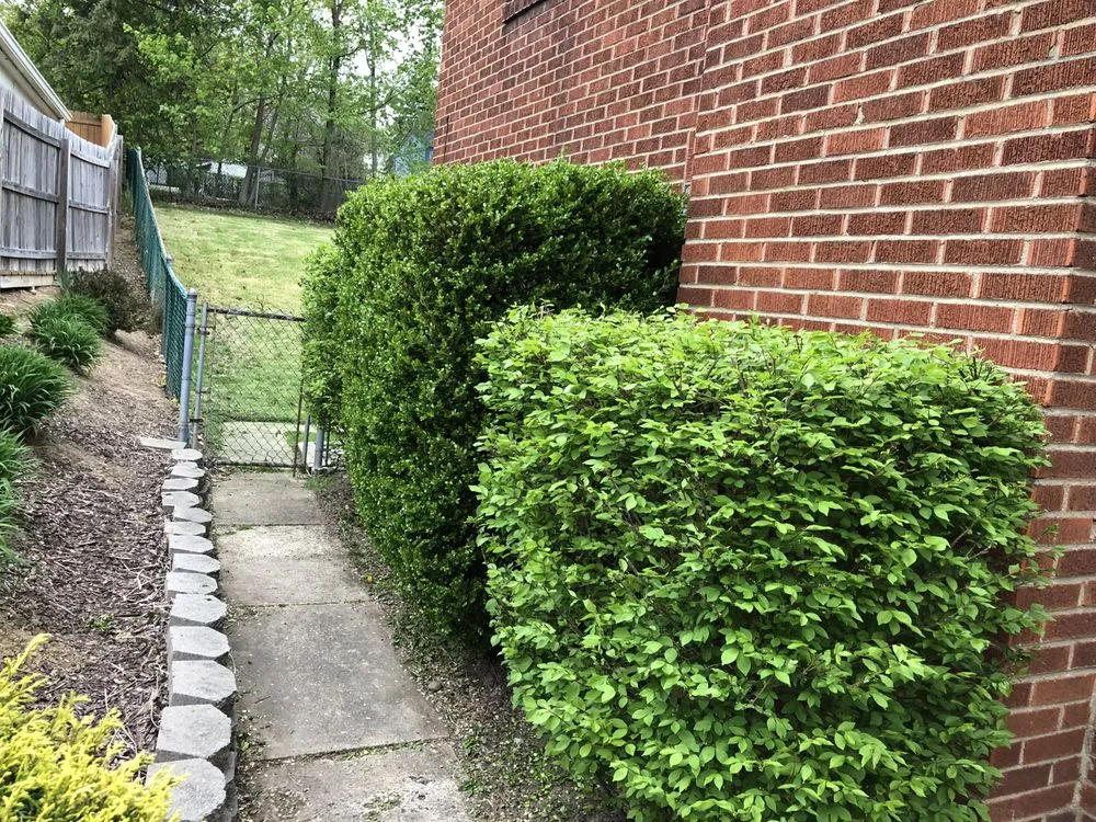 Affordable outdoor landscaping in Natrona Heights, PA - True Quality Management