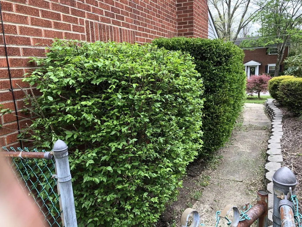 Affordable lawn care service for outdoor upgrades across Natrona Heights, PA - True Quality Management