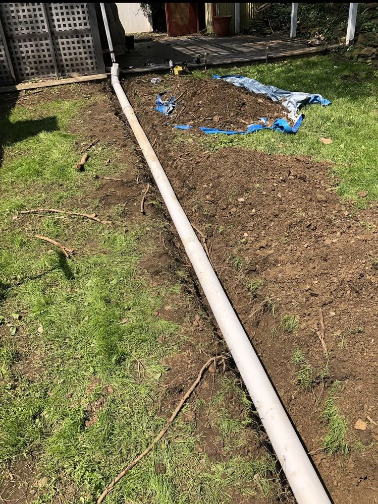 Custom landscape installation in Natrona Heights, PA - True Quality Management