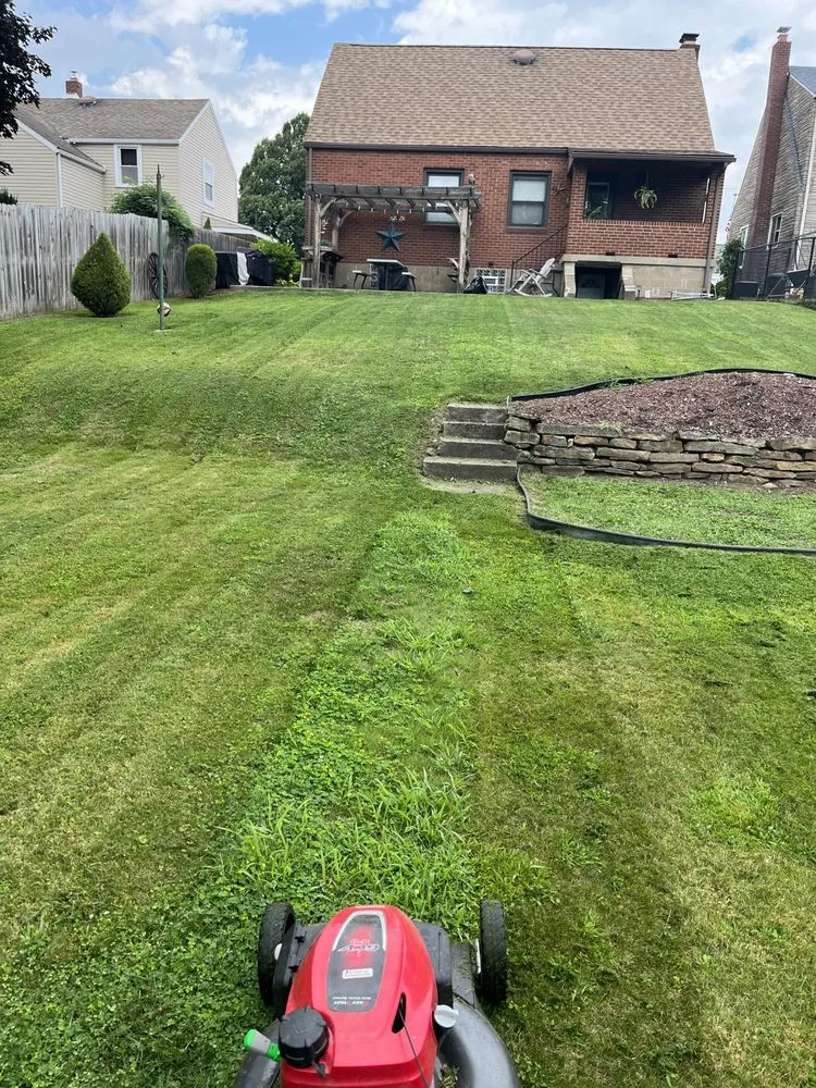 Affordable landscape installation in Natrona Heights, PA by True Quality Management
