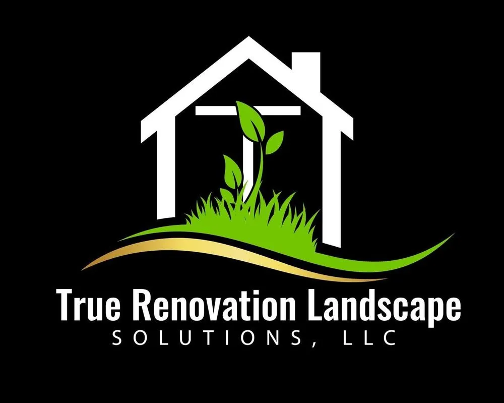 Expert yard cleanup service in Davenport, FL - True Renovation Landscape Solution