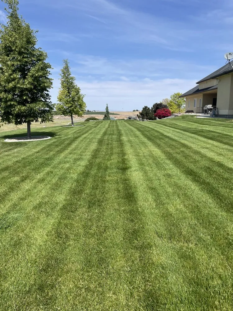 Expert landscape design for year-round maintenance across Nampa, ID - True Root Landscaping