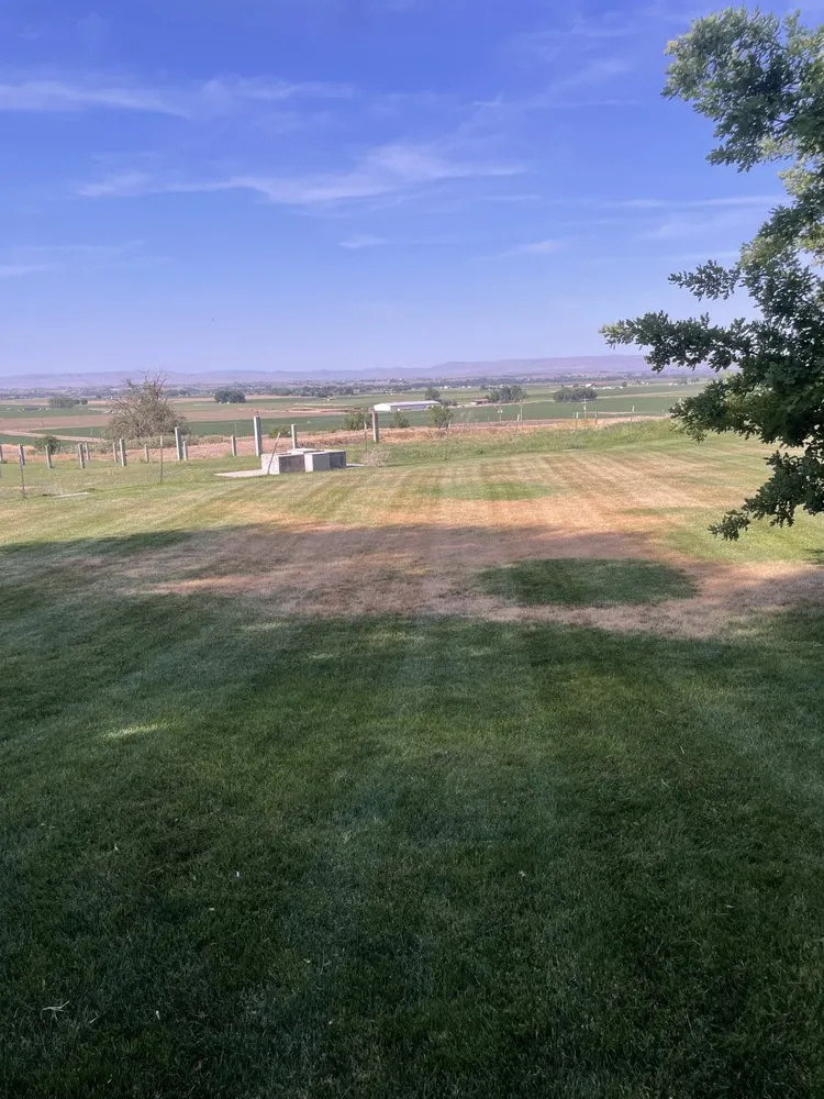 Professional yard cleanup service experts serving Nampa, ID - True Root Landscaping