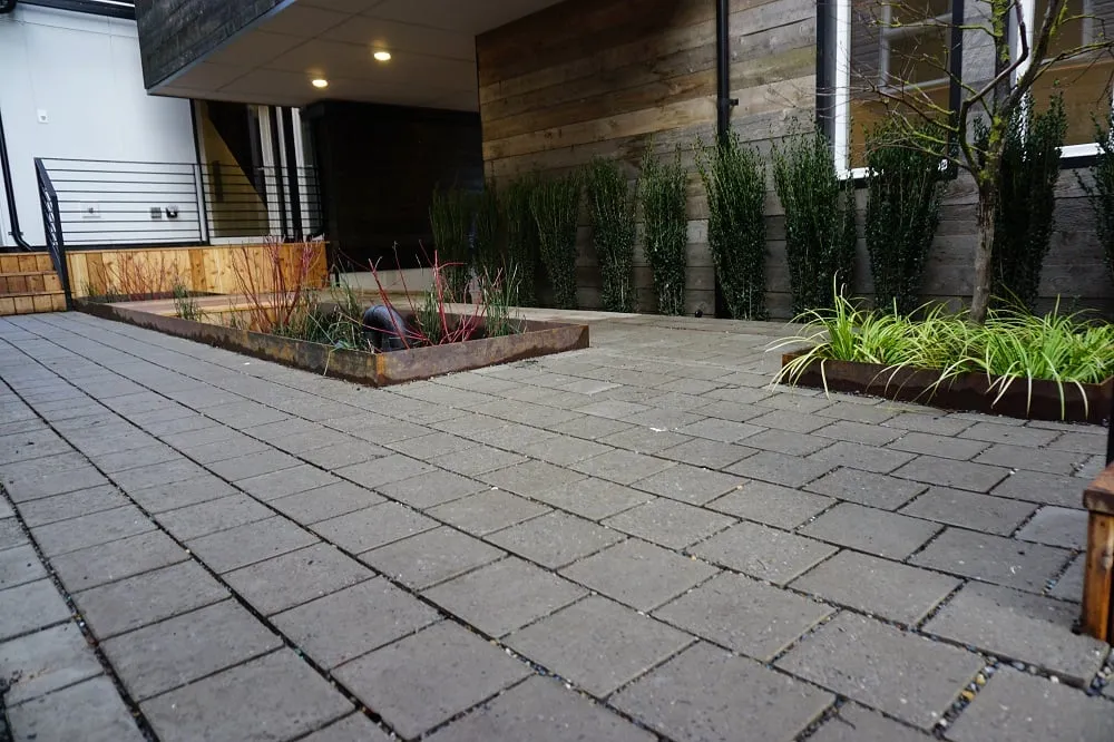 Professional garden landscaping near you across Seattle, WA - True Scape Design