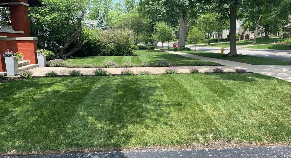Trusted lawn mowing service experts serving Clarendon Hills, IL - True Services