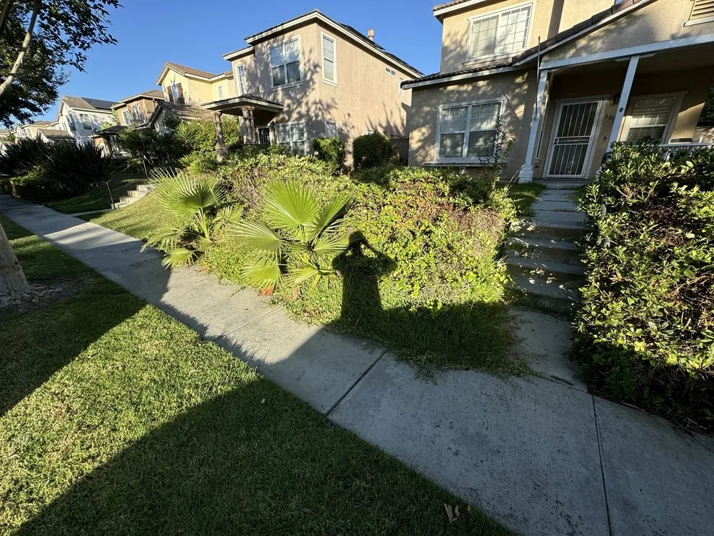 Custom residential landscaping with custom design across El Cajon, CA - True Shine Building Services