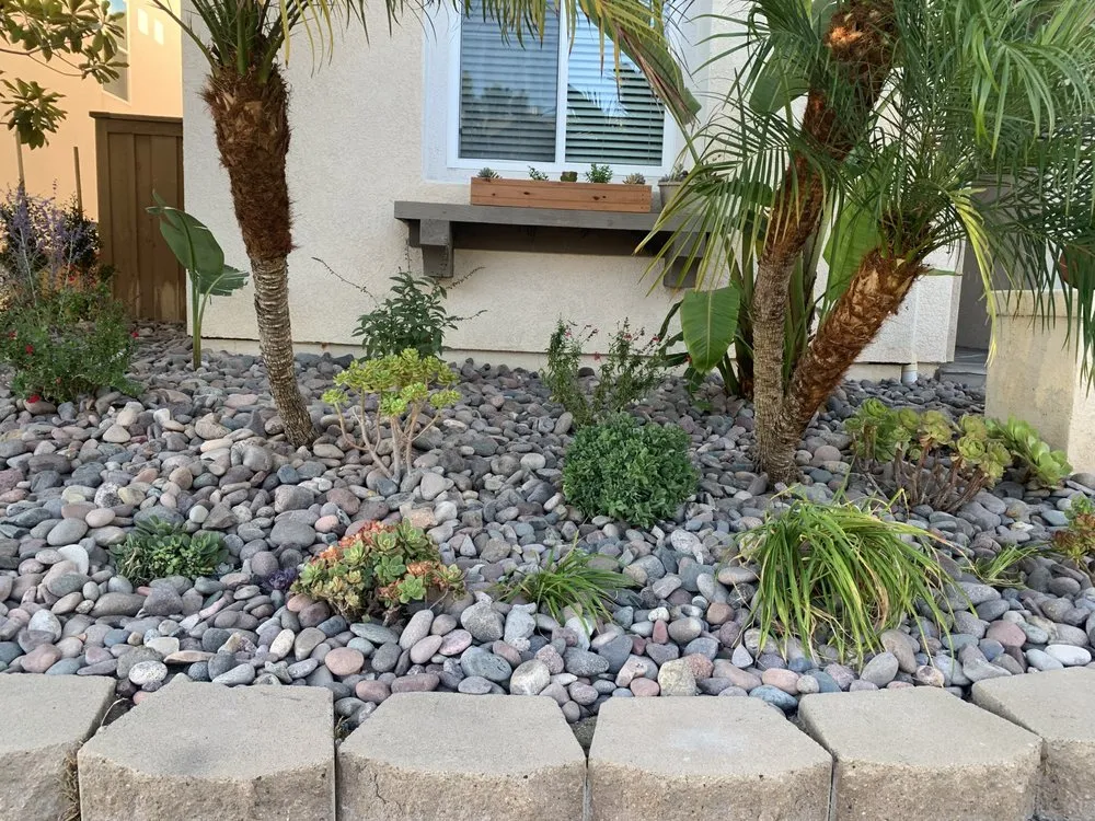 Affordable landscaping services in El Cajon, CA - True Shine Building Services