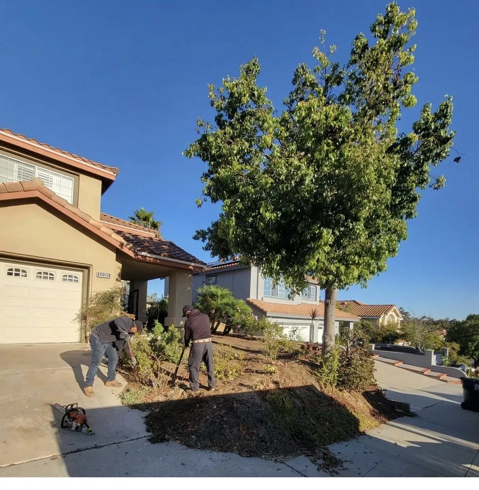 Reliable landscaping services experts serving El Cajon, CA - True Shine Building Services