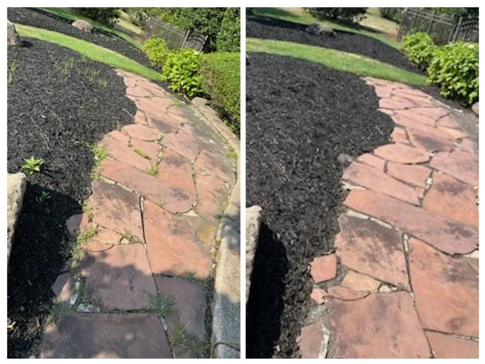 Local lawn care service with custom design across Absecon, NJ - True Solutions