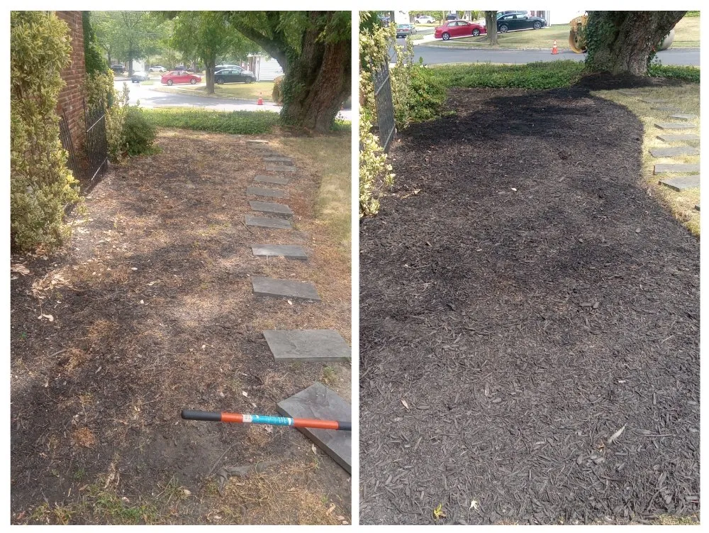 Top-rated landscape design for residential properties in Absecon, NJ by True Solutions