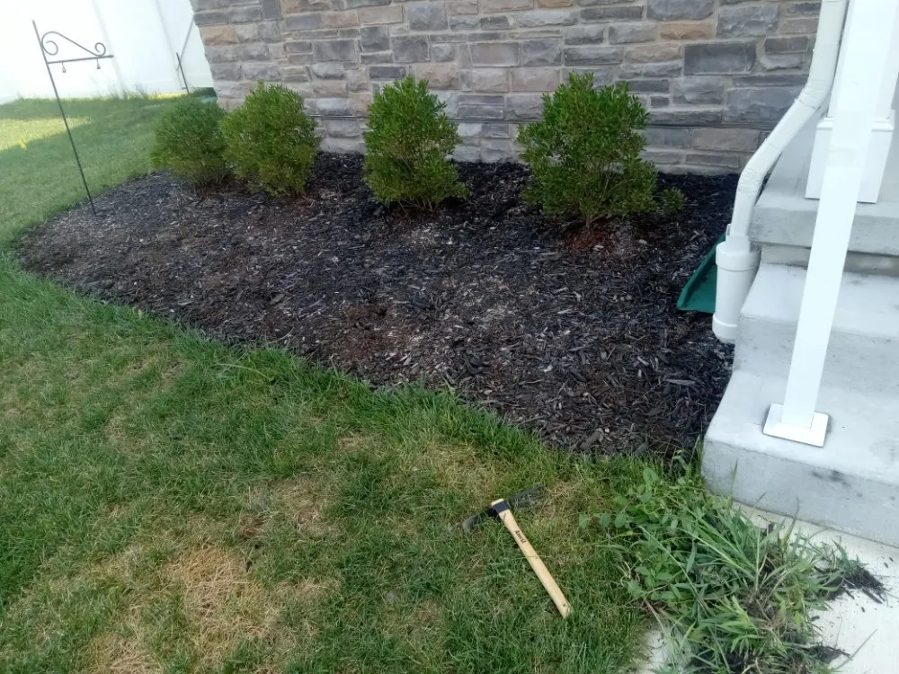 Reliable lawn mowing service experts serving Absecon, NJ - True Solutions