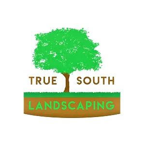 Affordable lawn care service in Greer, SC - True South Landscaping