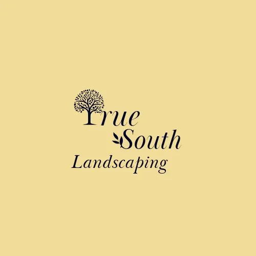 Affordable yard maintenance in Jasper, GA by True South Landscaping
