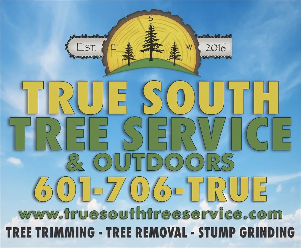 Professional lawn care service experts serving Braxton, MS - True South Tree Service & Outdoors