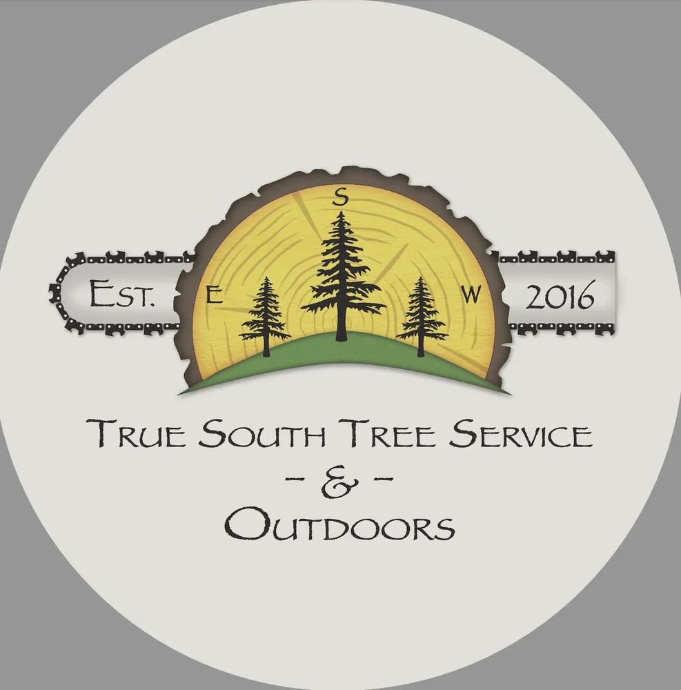 Expert residential landscaping in Braxton, MS - True South Tree Service & Outdoors