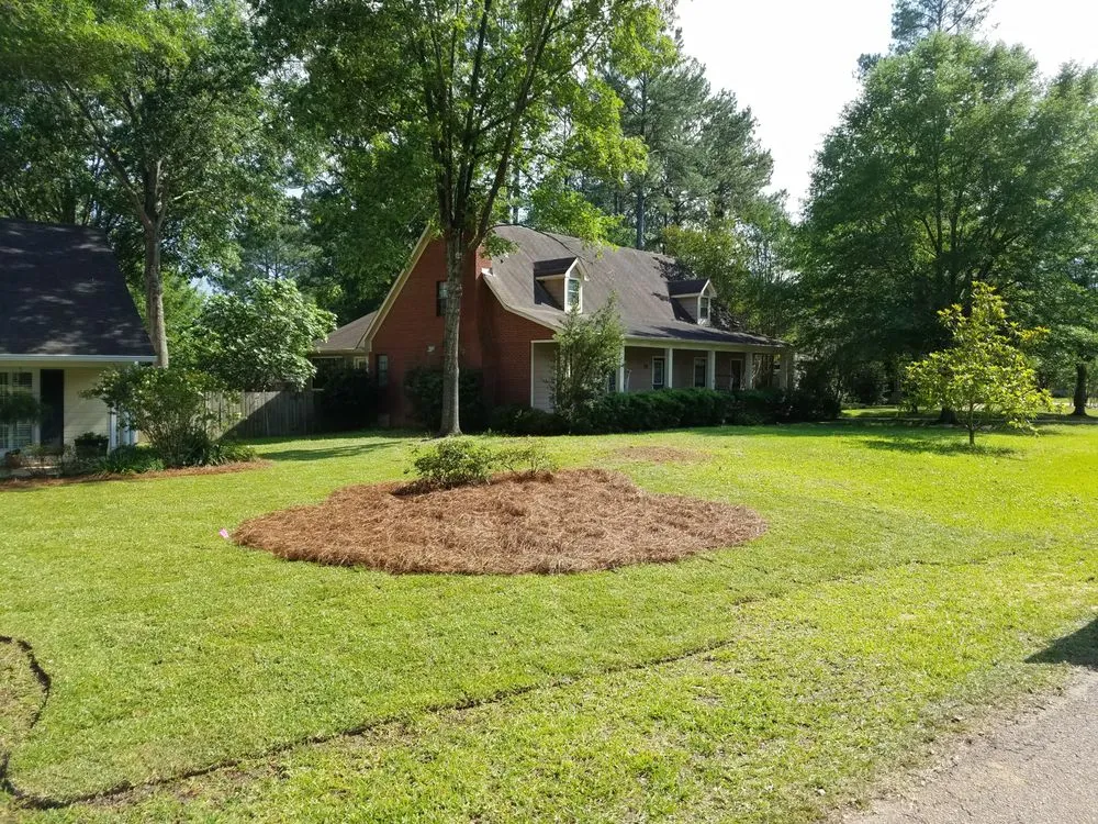 Trusted landscape installation experts serving Braxton, MS - True South Tree Service & Outdoors