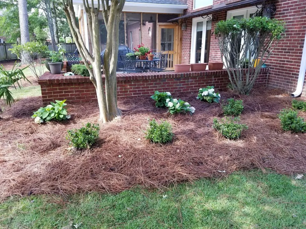Affordable garden landscaping with custom design across Braxton, MS - True South Tree Service & Outdoors