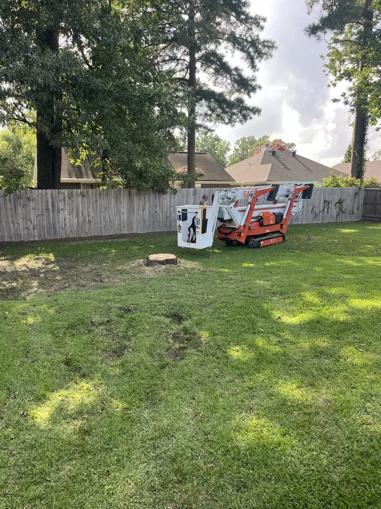 Local landscaping services for residential properties in Braxton, MS by True South Tree Service & Outdoors