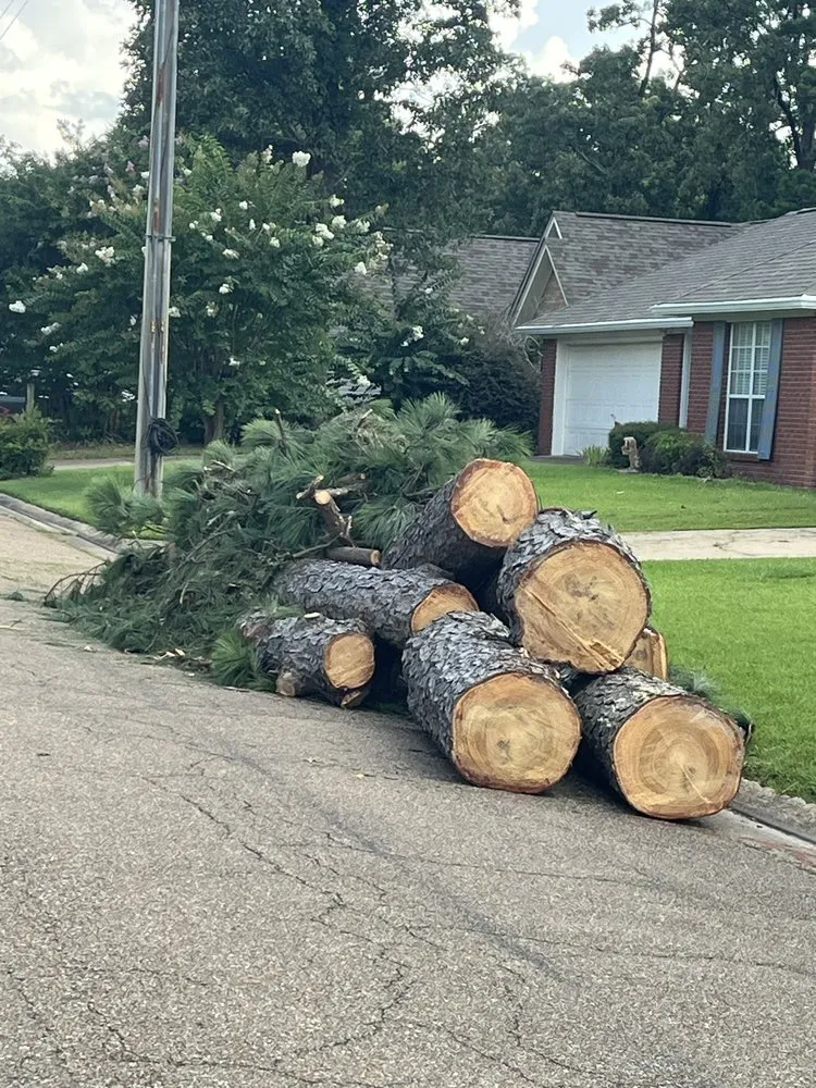 Professional residential landscaping for outdoor upgrades in Braxton, MS by True South Tree Service & Outdoors