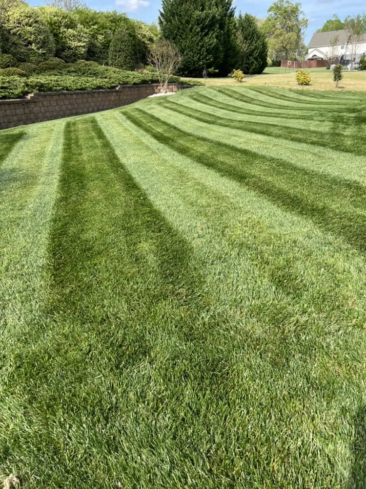 Custom outdoor landscaping experts serving Concord, NC - True Southern Landscaping