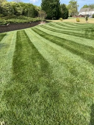 True Southern Landscaping Logo