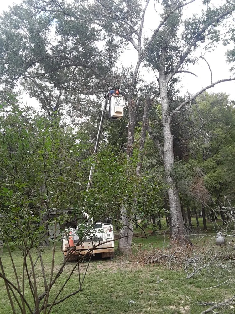 Trusted lawn care service in Rusk, TX - True Tex Property Maintenance