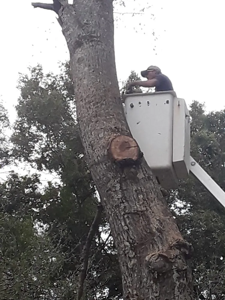 Reliable lawn care service near you in Rusk, TX by True Tex Property Maintenance