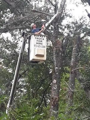 True Tex Property Maintenance