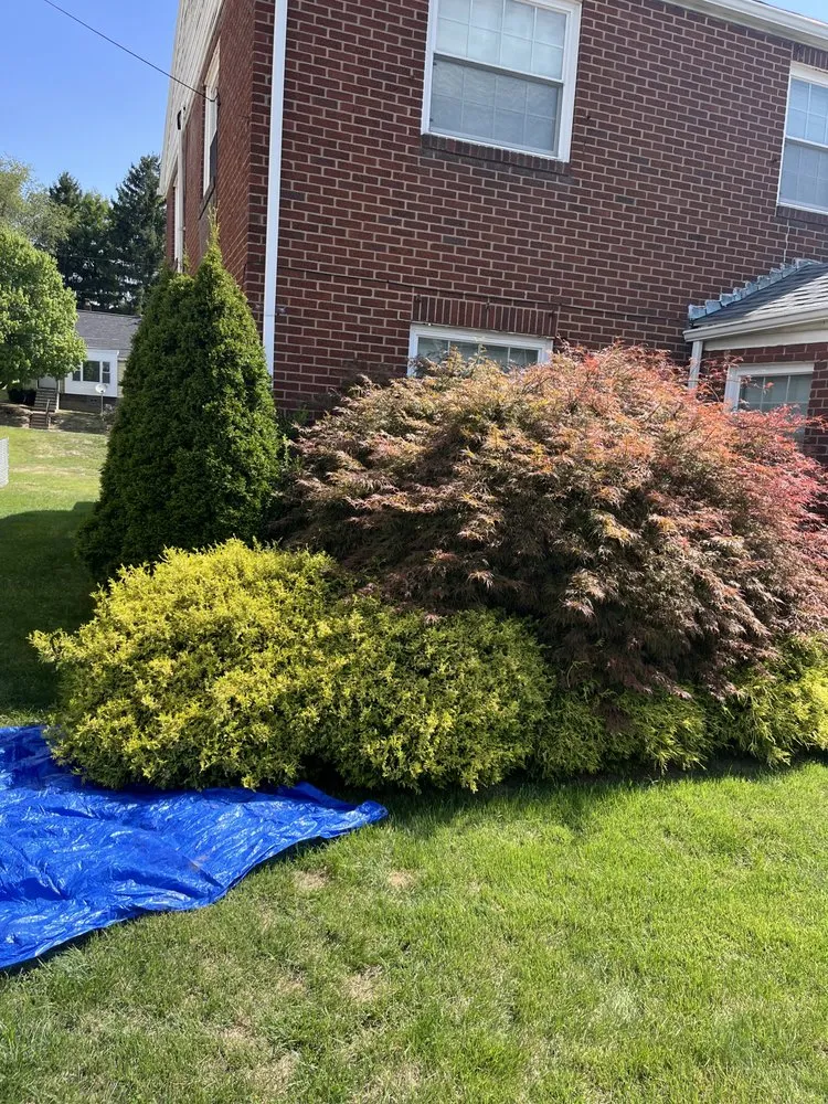 Professional yard maintenance in Uniontown, PA - True Touch Lawncare