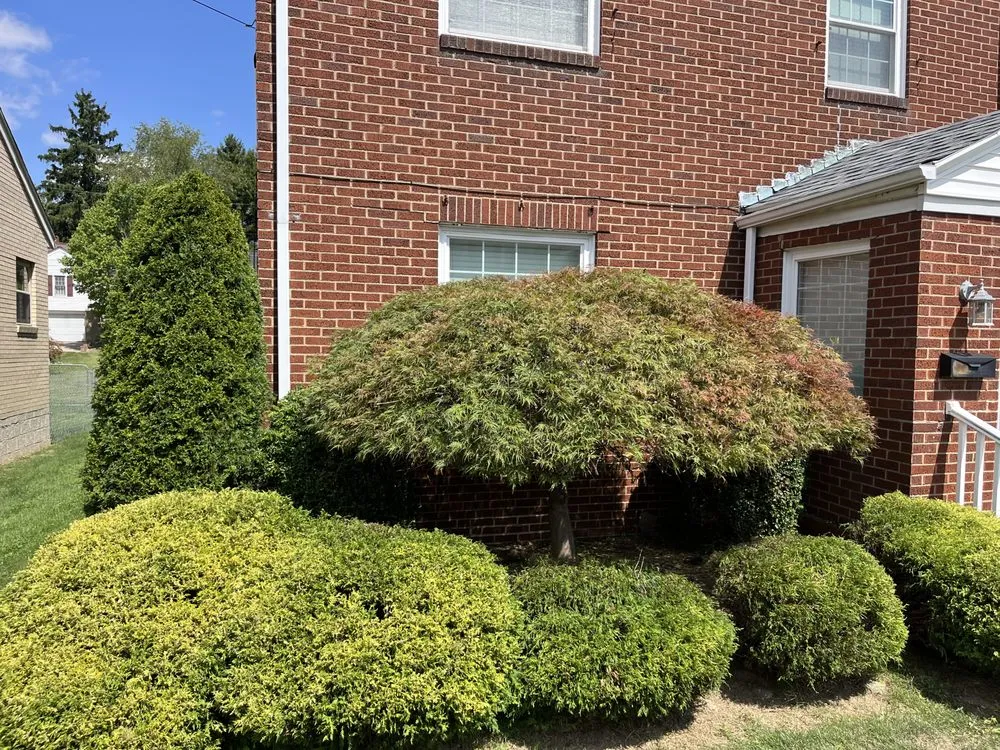 Reliable lawn care service in Uniontown, PA by True Touch Lawncare