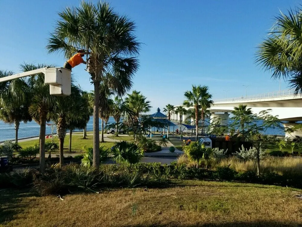 Custom garden landscaping in Sarasota, FL - True Tree