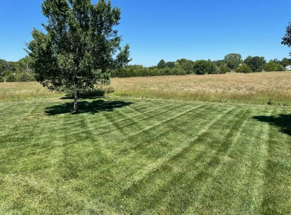 Local residential landscaping in Haysville, KS by True Trim ICT
