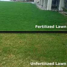 Reliable lawn mowing service in Olathe, KS by True Turf Lawn Maintenance