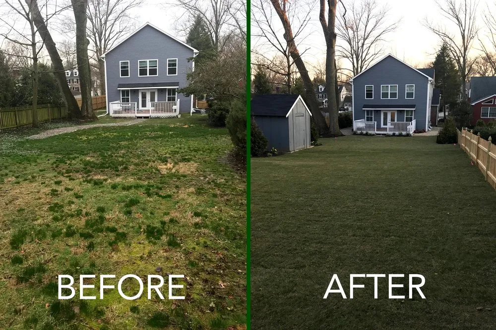 Expert landscaping services for beautiful yards in Olathe, KS by True Turf Lawn Maintenance