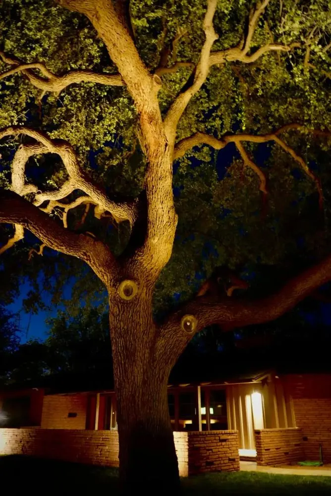 Reliable residential landscaping near you in Midland, TX by True Vine Landscape Design