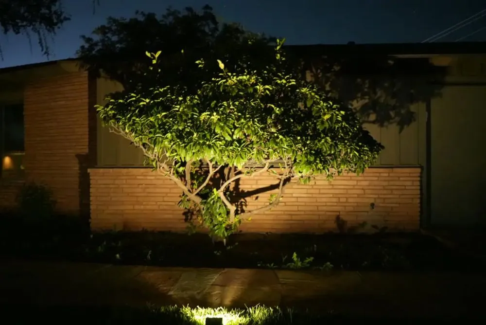 Custom residential landscaping in Midland, TX - True Vine Landscape Design