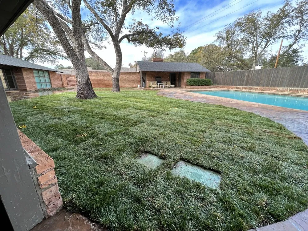 Expert yard cleanup service experts serving Midland, TX - True Vine Landscape Design