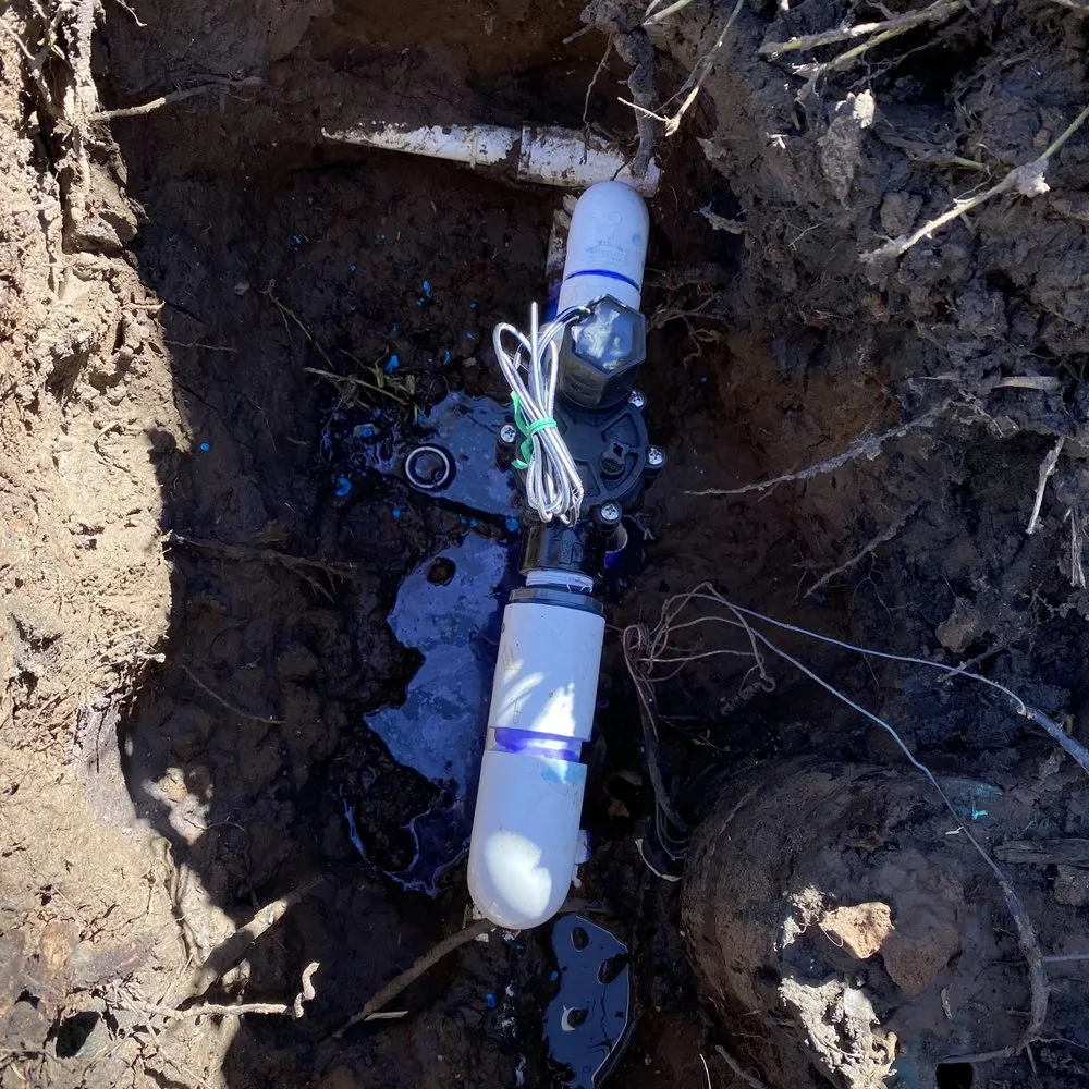 Affordable outdoor landscaping in Midland, TX - True Vine Landscape Design