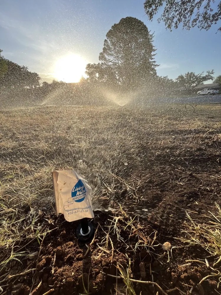 Custom landscaping services for outdoor upgrades in Midland, TX by True Vine Landscape Design