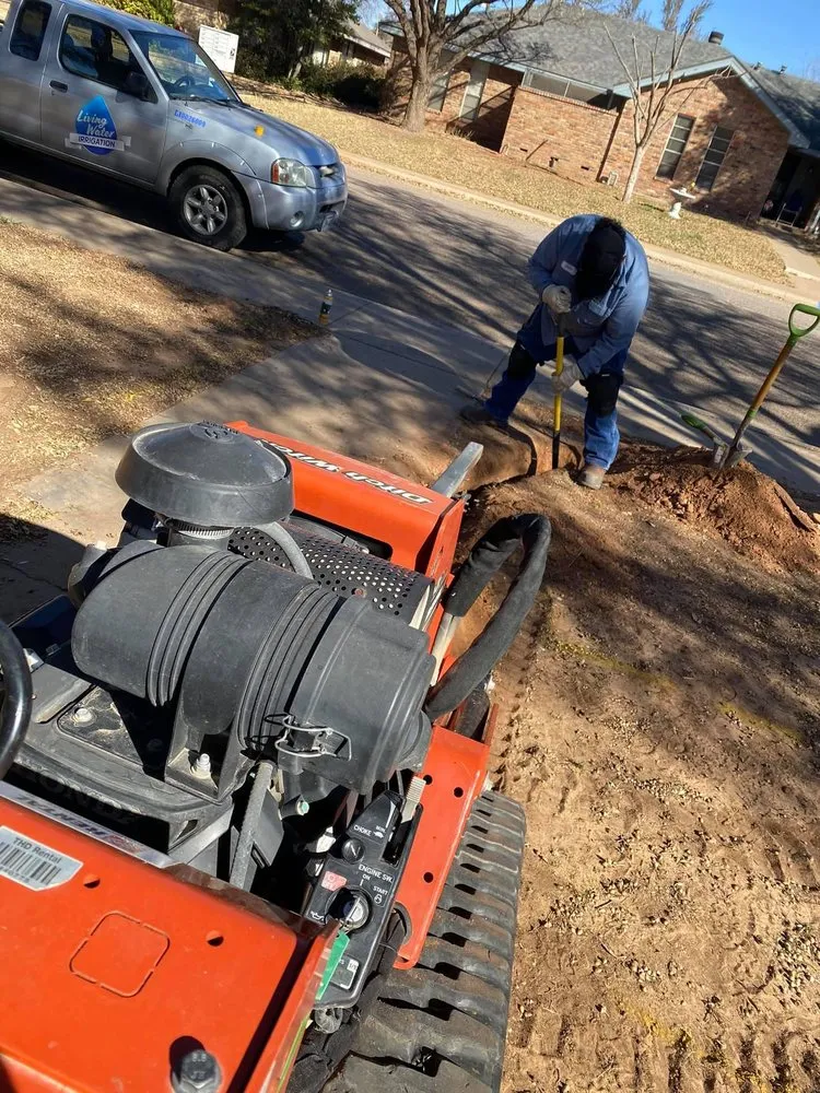 Affordable yard maintenance in Midland, TX by True Vine Landscape Design