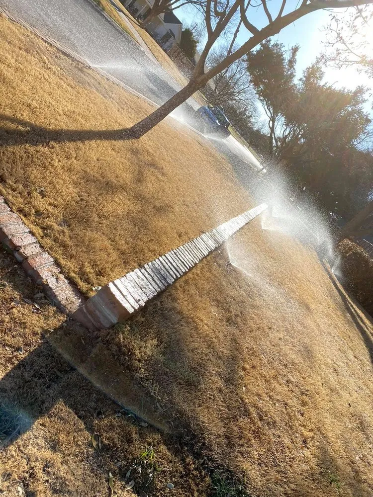 Local yard cleanup service in Midland, TX - True Vine Landscape Design