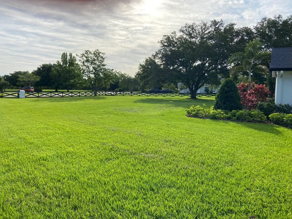 Affordable landscaping services in Clermont, FL - True Vine Landscape Management
