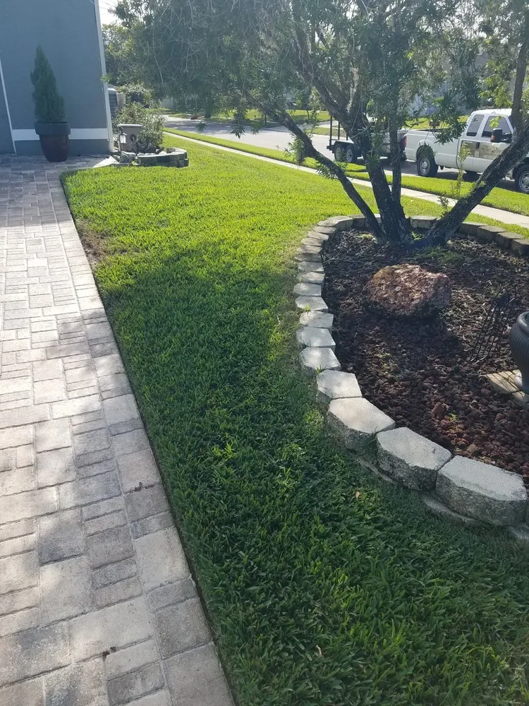 Reliable yard maintenance for homes across Clermont, FL - True Vine Landscape Management